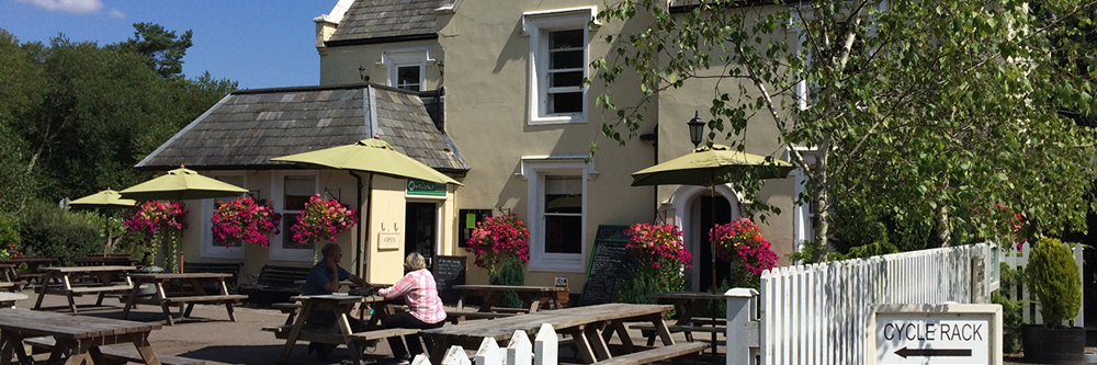 Station House Holmsley Tea Rooms near Burley